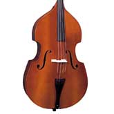 Ensemble Dvorak