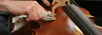Violin Care Banner