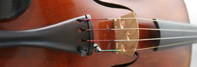 A picture of a violin