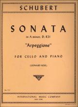 Schubert - Arpeggione Sonata, D.821 for Cello (INT)